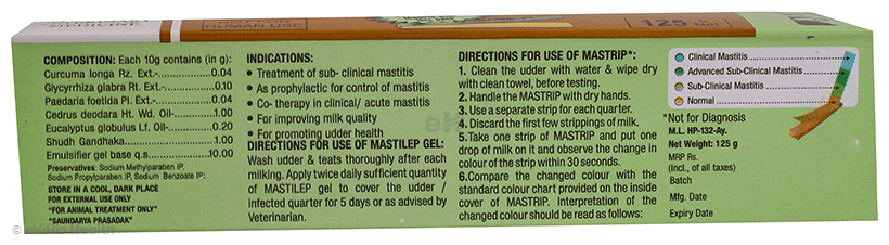 Ayur Mastilep Topical Herbal Gel