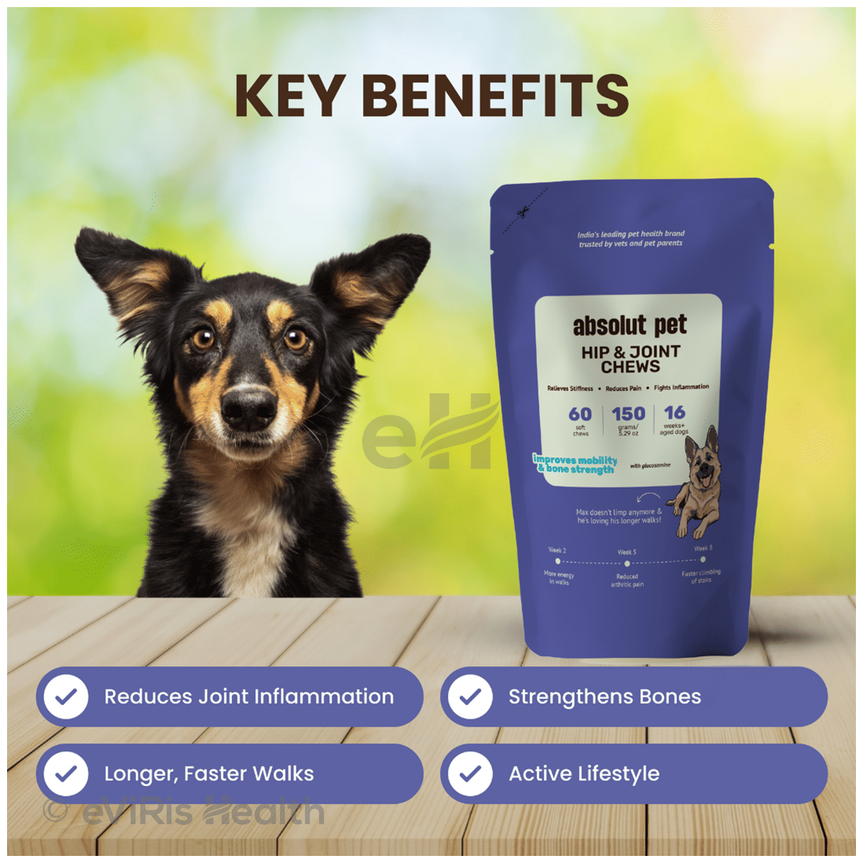 Absolut Pet Hip and Joint Soft Chews