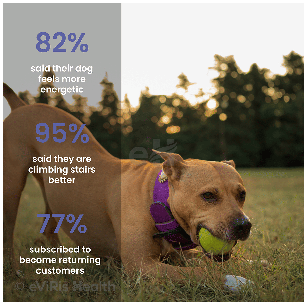 Absolut Pet Hip and Joint Soft Chews