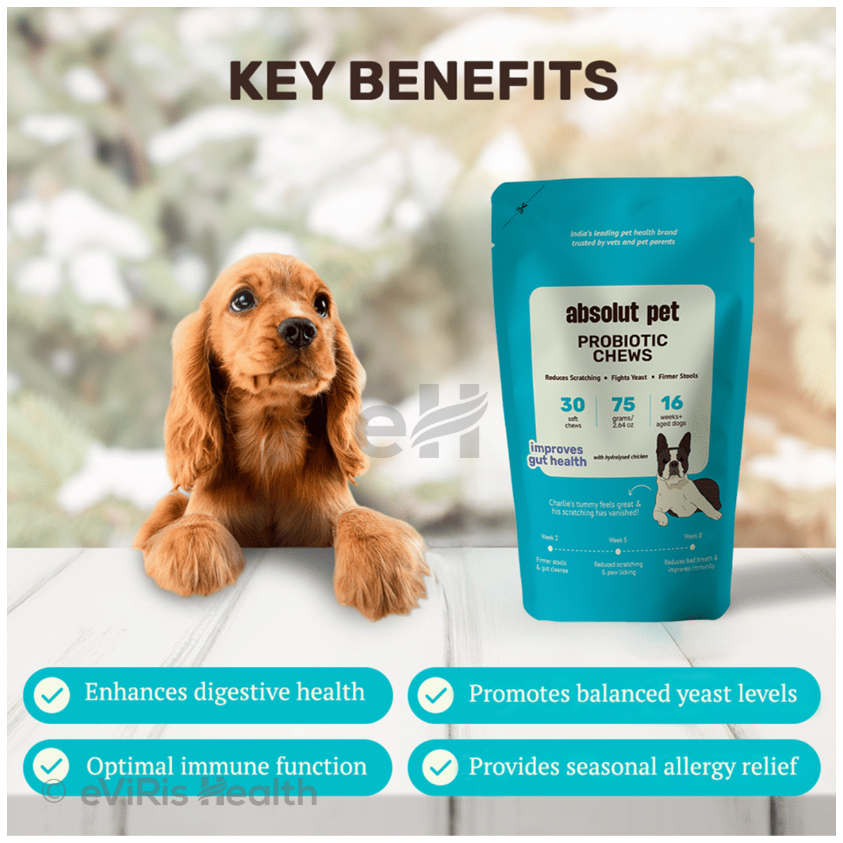 Absolut Pet Probiotics Soft Chews
