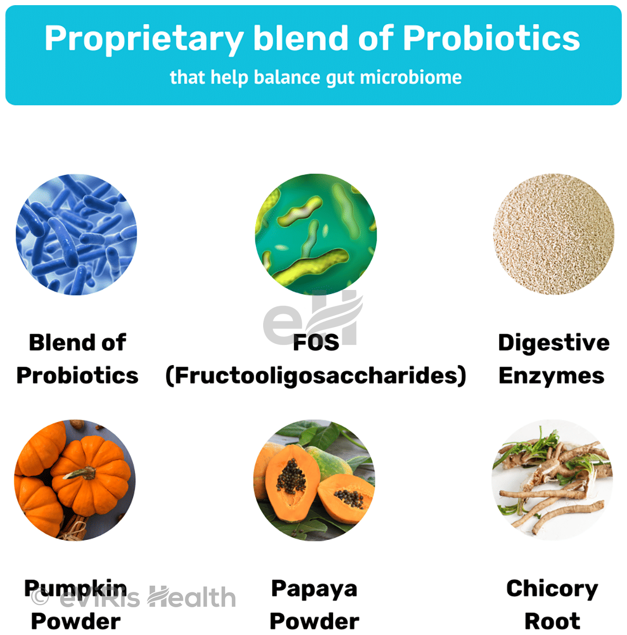 Absolut Pet Probiotics Soft Chews