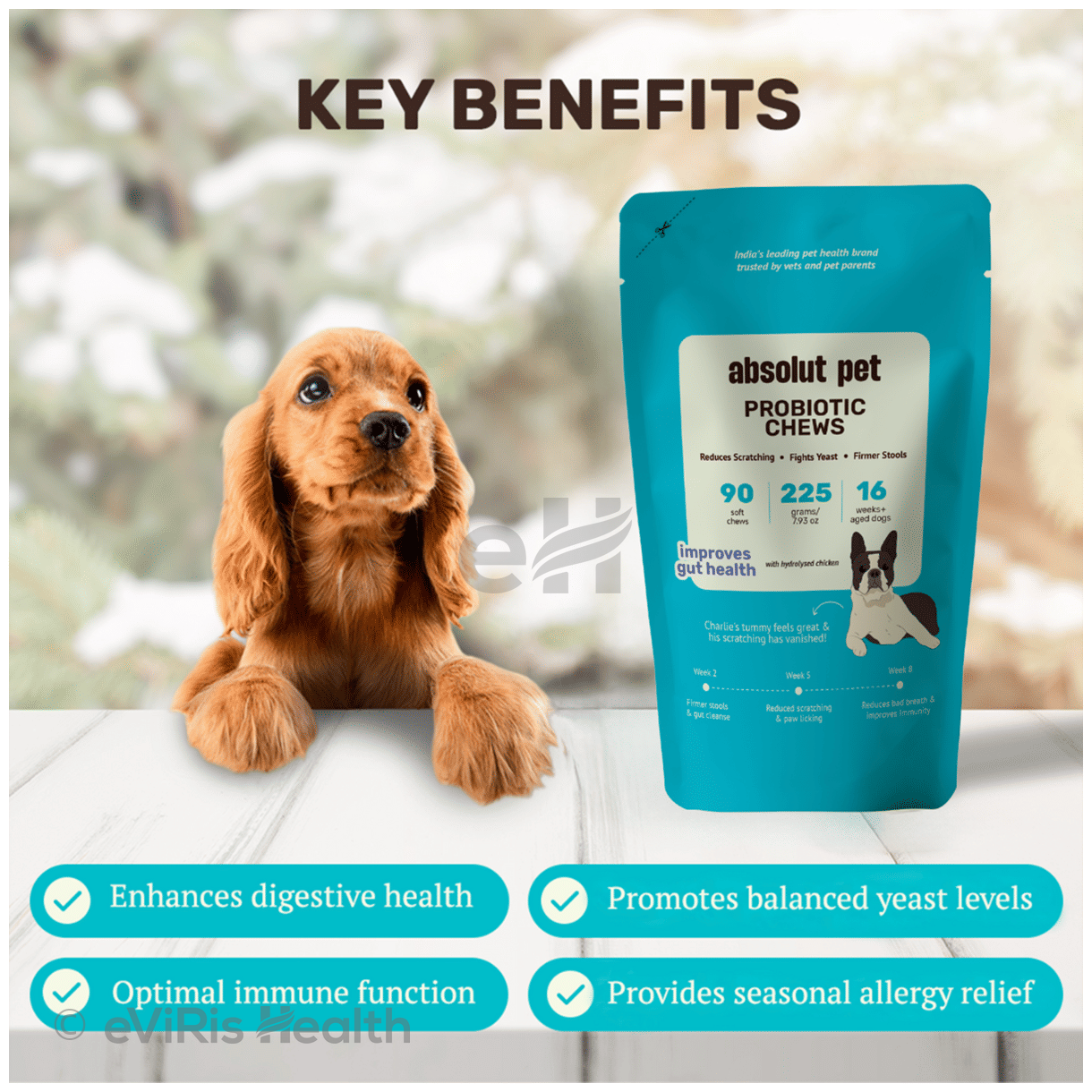 Absolut Pet Probiotics Soft Chews