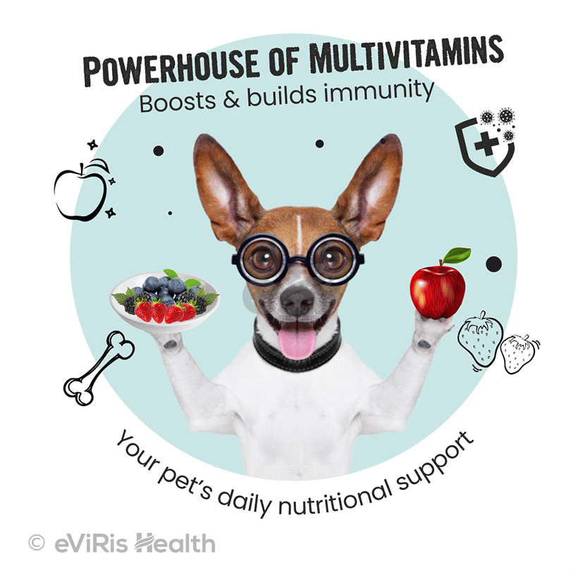 Bark Out Loud Multivitamins Immunity Chewstix