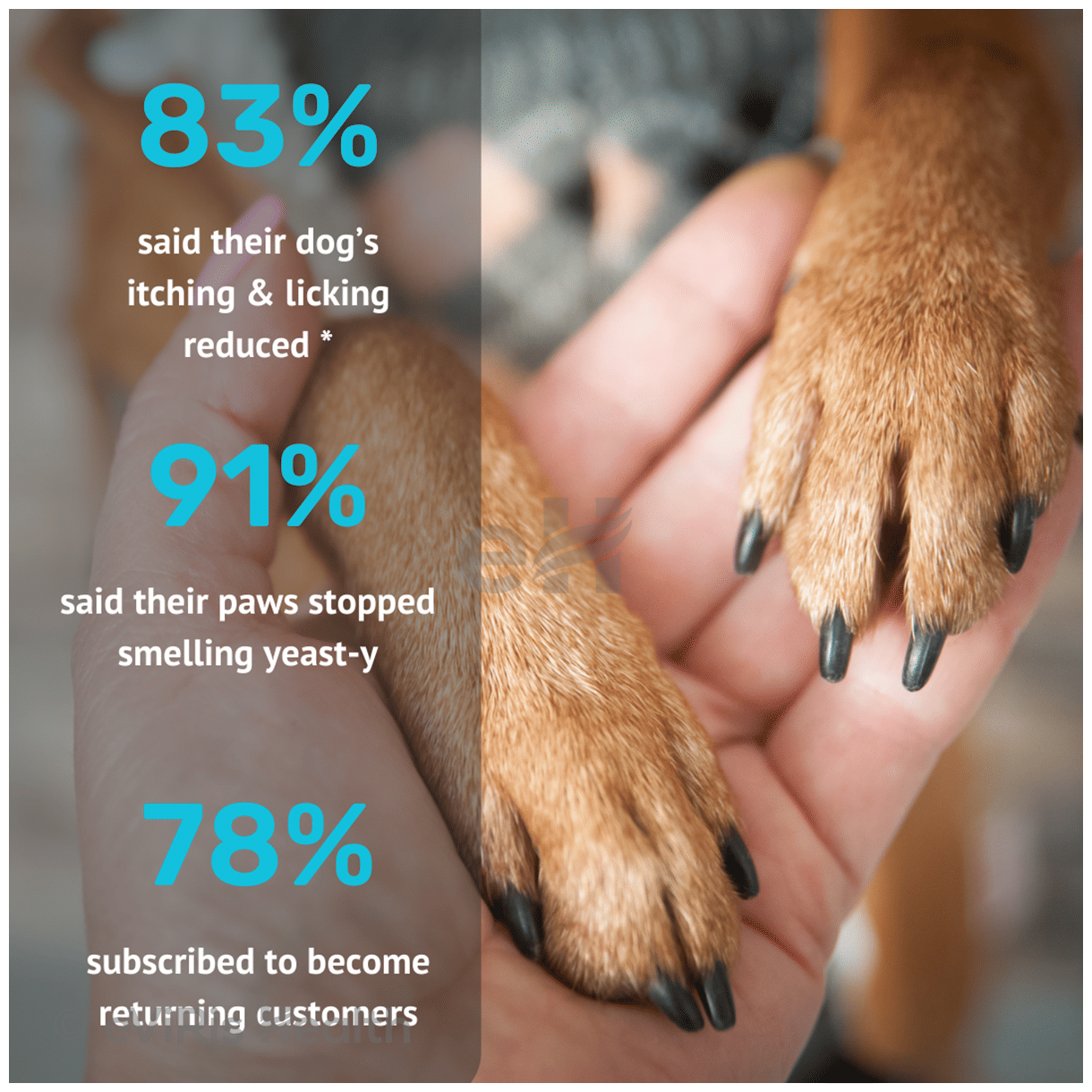 Absolut Pet Probiotics Soft Chews