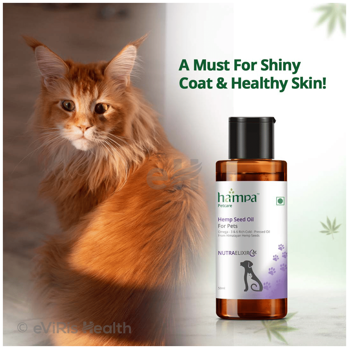 Hampa Wellness Hempa Petcare Hemp Seed Oil for Pets