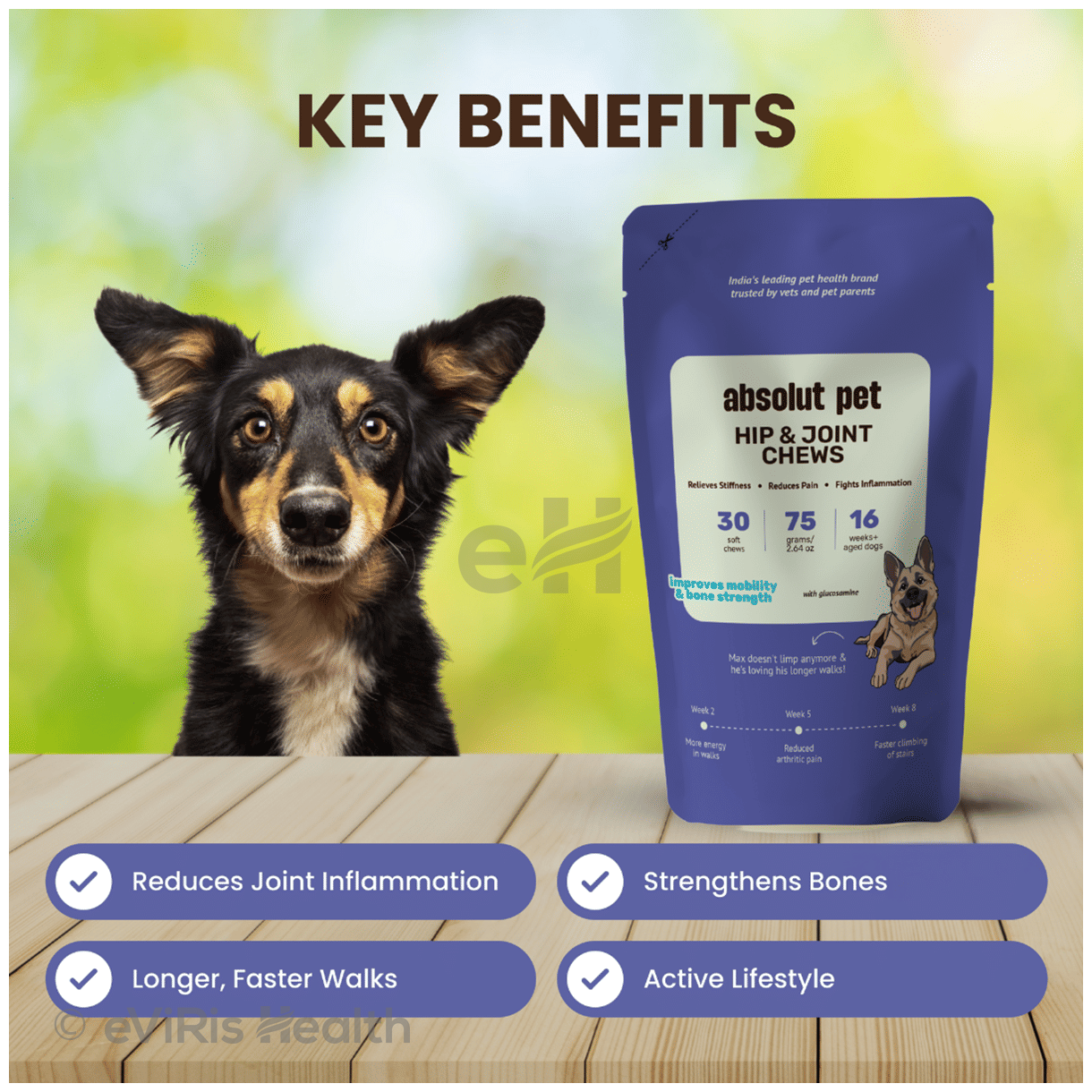 Absolut Pet Hip and Joint Soft Chews