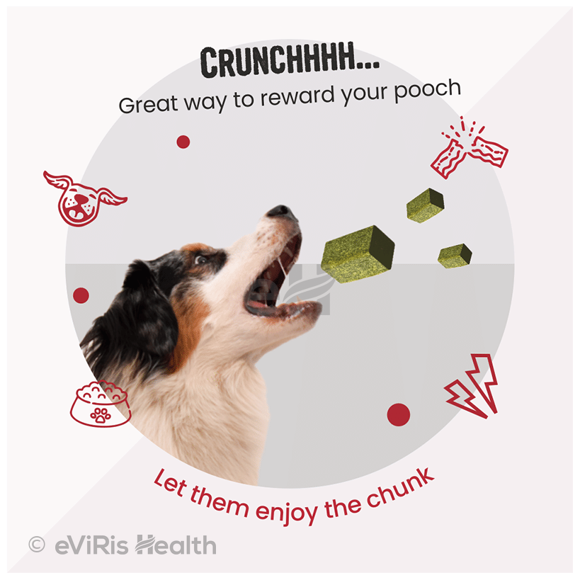 Bark Out Loud Chunky Bites