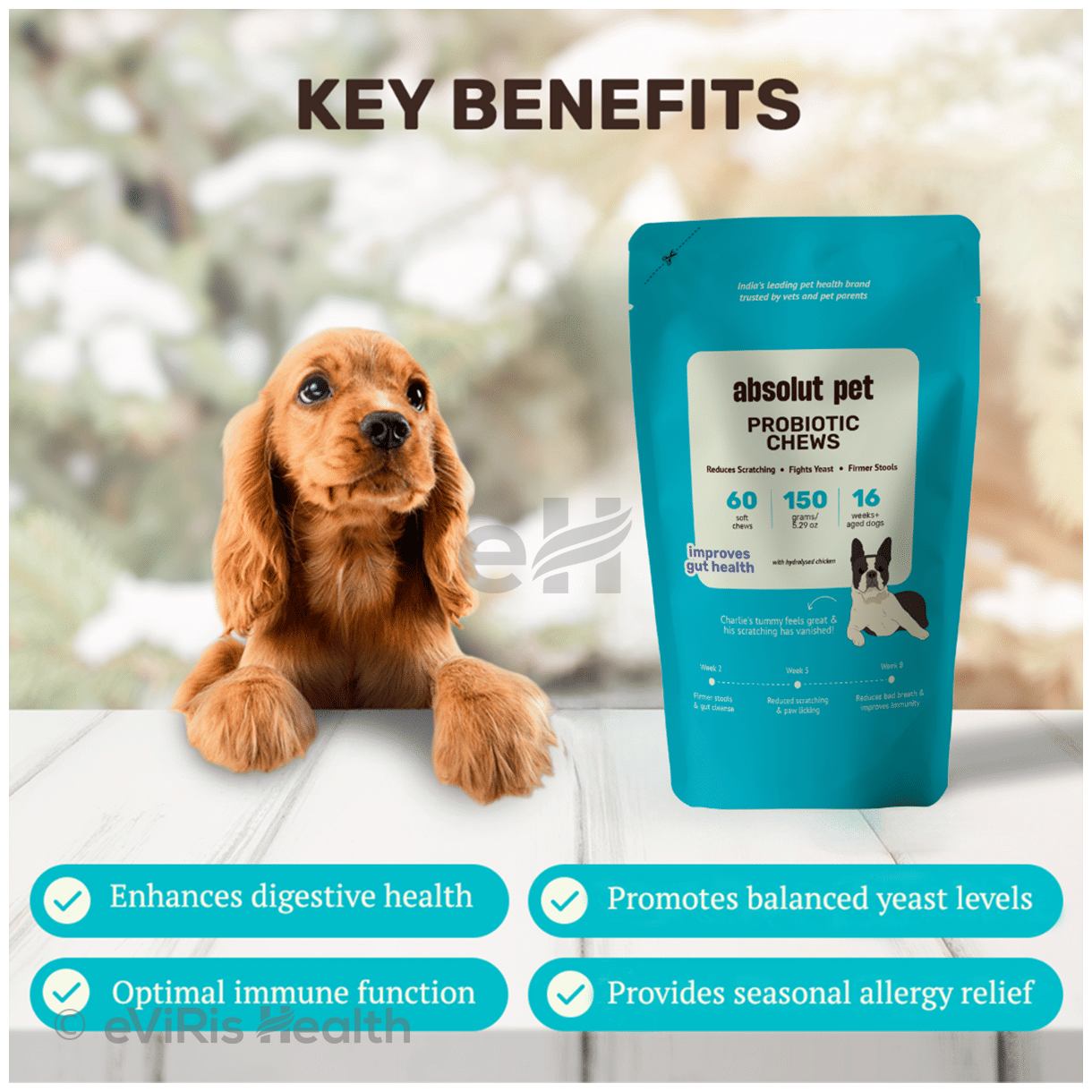 Absolut Pet Probiotics Soft Chews