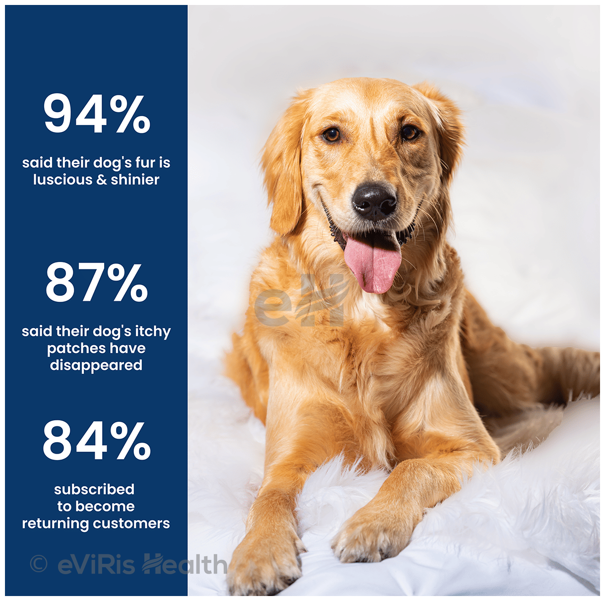 Absolut Pet Skin & Coat Soft Chews