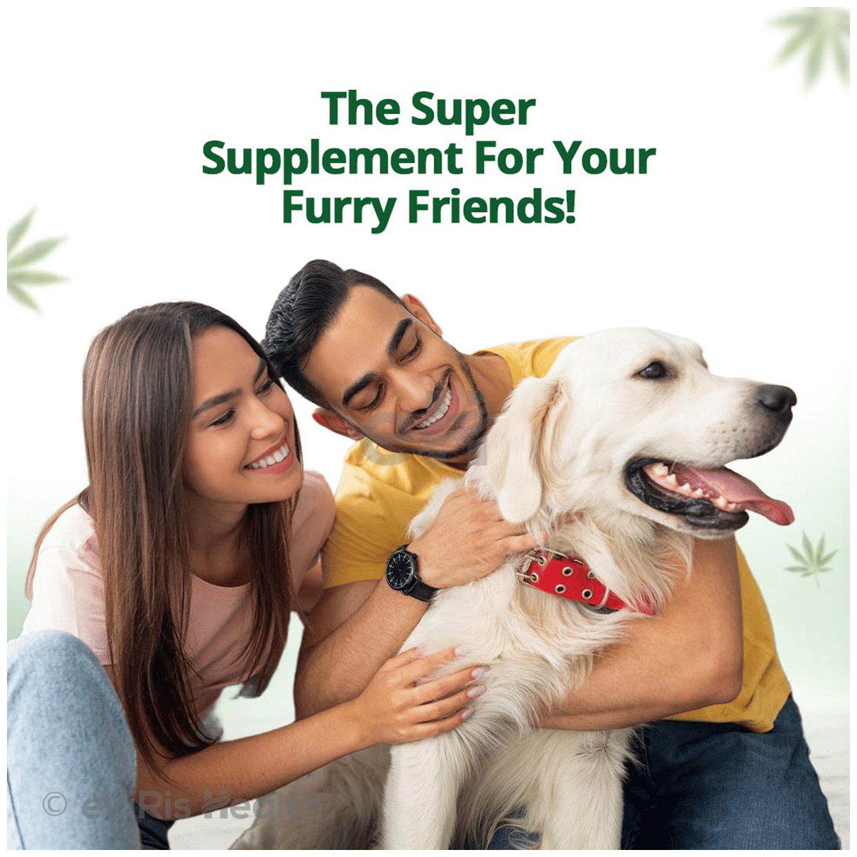 Hampa Wellness Hempa Petcare Hemp Seed Oil for Pets
