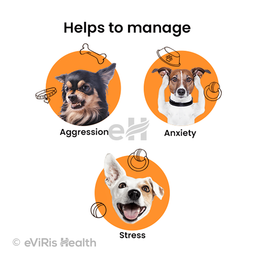 Bark Out Loud Calming & Anxiety Supplement Sachet (2gm Each)