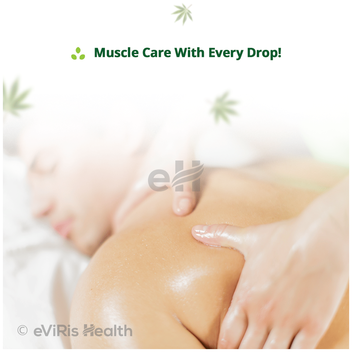 Hampa Wellness Hemp Muscle Pain Relief Cannapro 500mg Oil