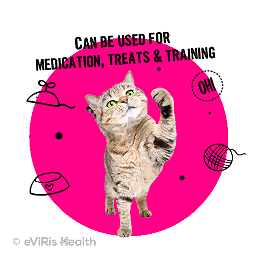Bark Out Loud  Easy Pill Cat