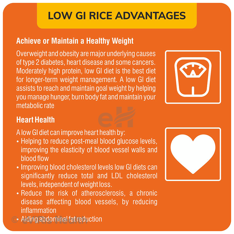 24 Mantra Organic Low GI Rice Gluten Free