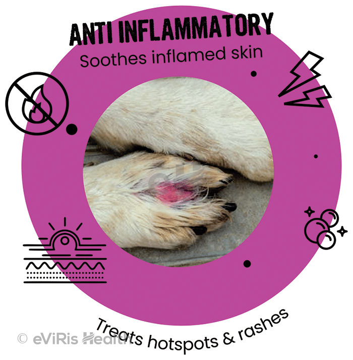 Bark Out Loud Allergy & Itch Relief Shampoo