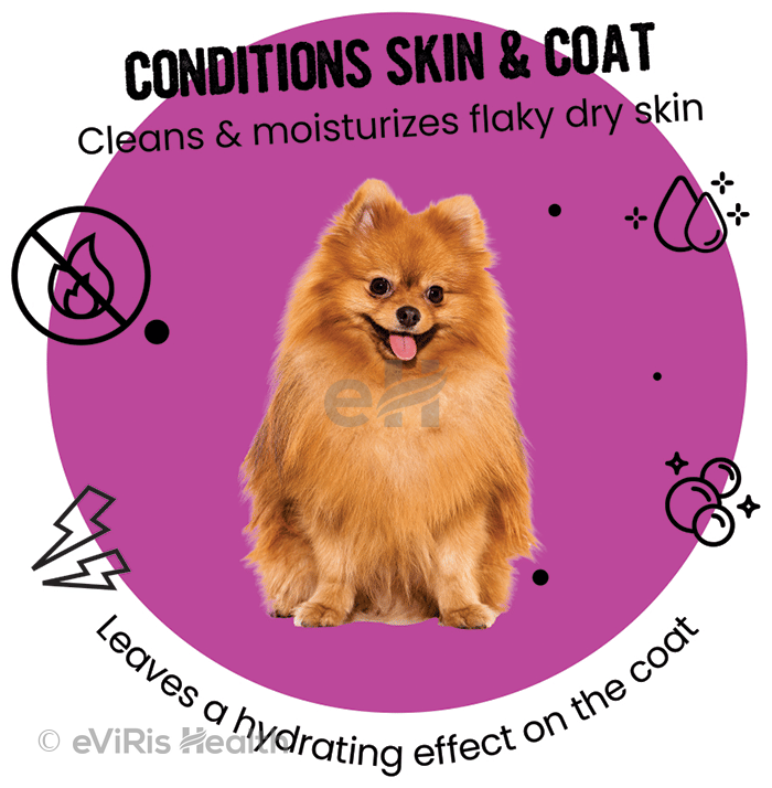 Bark Out Loud Allergy & Itch Relief Shampoo